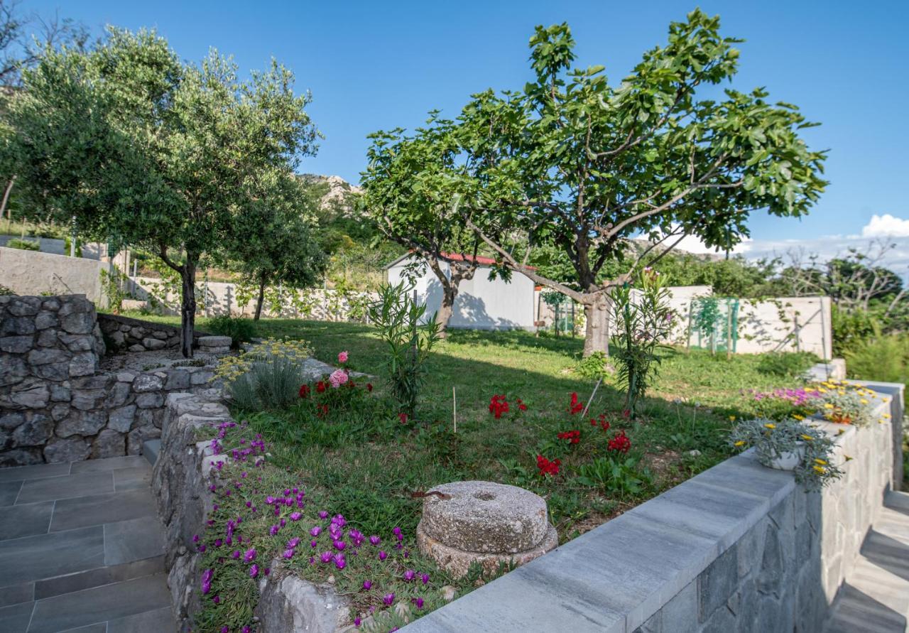 Villa Carmen Draga Bascanska Exterior photo